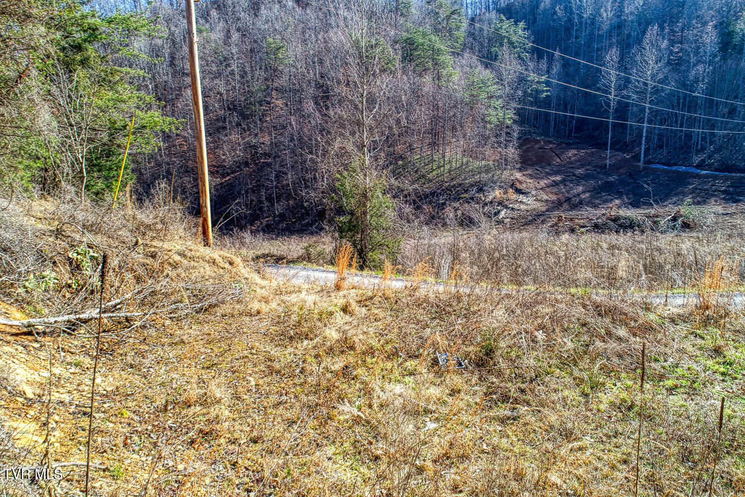 582 Jimmie Brooks Road Sneedville, TN 37869 - Photo 6 of 32 582 Brooks. Sneedvl MLSa (4 of 36)