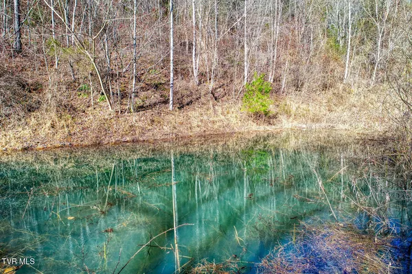 $199,000 | 582 Jimmie Brooks Road, Sneedville, TN 37869