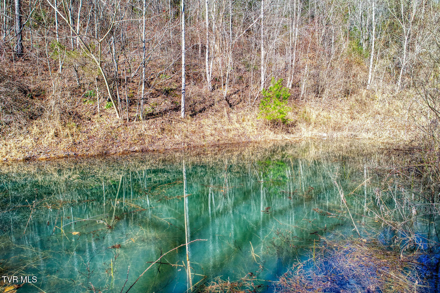 582 Jimmie Brooks Road Sneedville, TN 37869 - Photo 9 of 32 582 Brooks. Sneedvl MLSa (33 of 36)