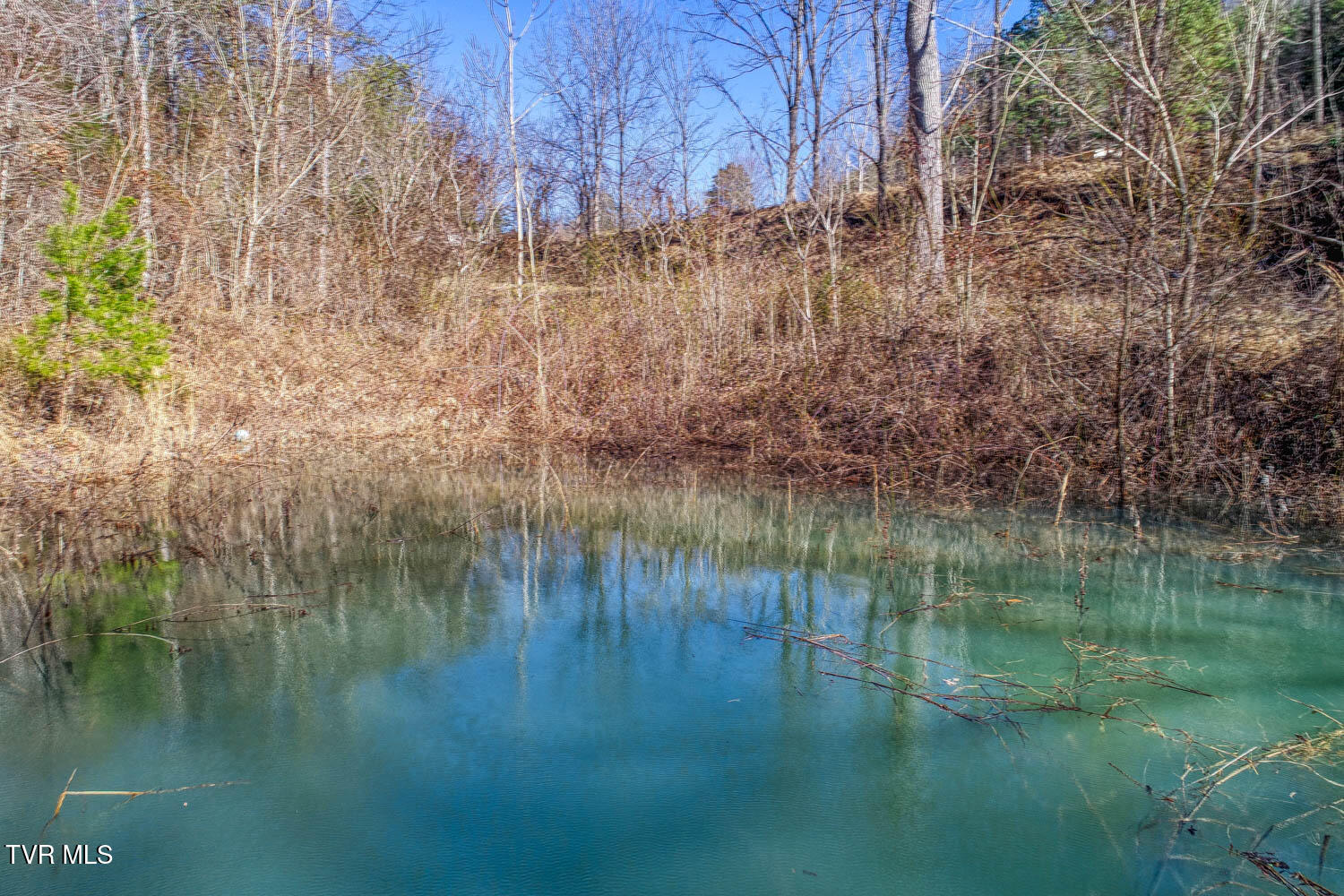 582 Jimmie Brooks Road Sneedville, TN 37869 - Photo 10 of 32 582 Brooks. Sneedvl MLSa (34 of 36)