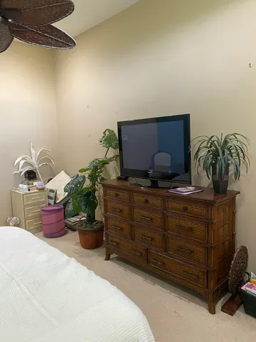 a room with furniture a potted plant and a chair