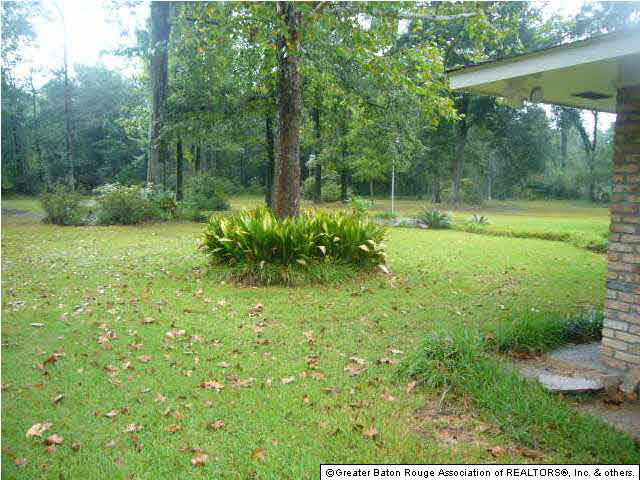13775 Springfield Road Walker, LA 70785 - Photo 2 of 12