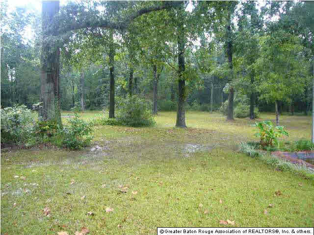 13775 Springfield Road Walker, LA 70785 - Photo 3 of 12
