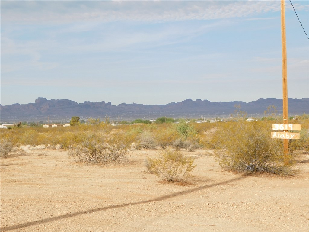 3619 Araby Road Golden Valley, AZ 86413 - Photo 15 of 17 View