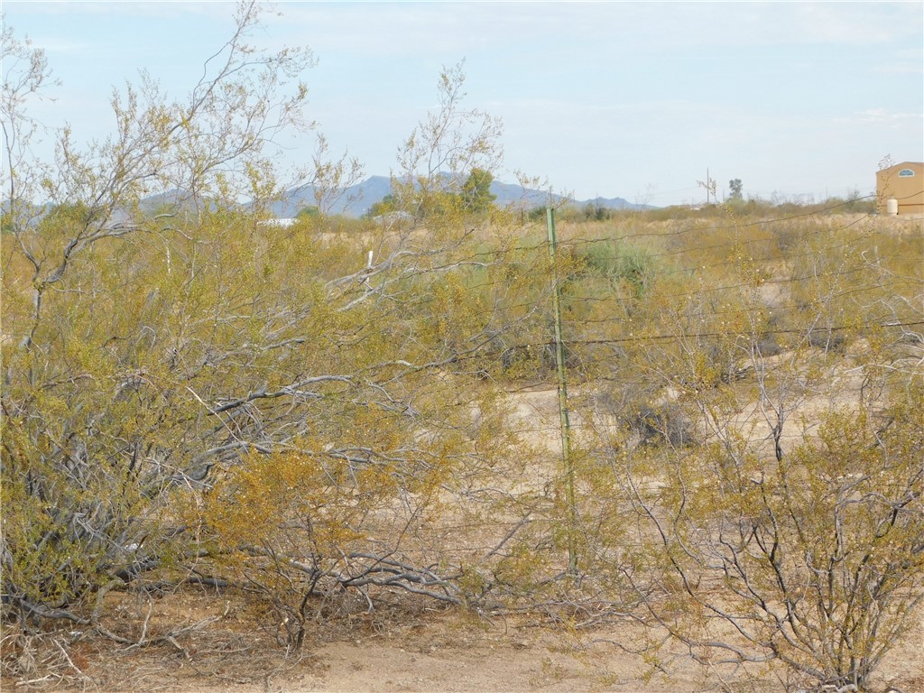3619 Araby Road Golden Valley, AZ 86413 - Photo 3 of 17 Other