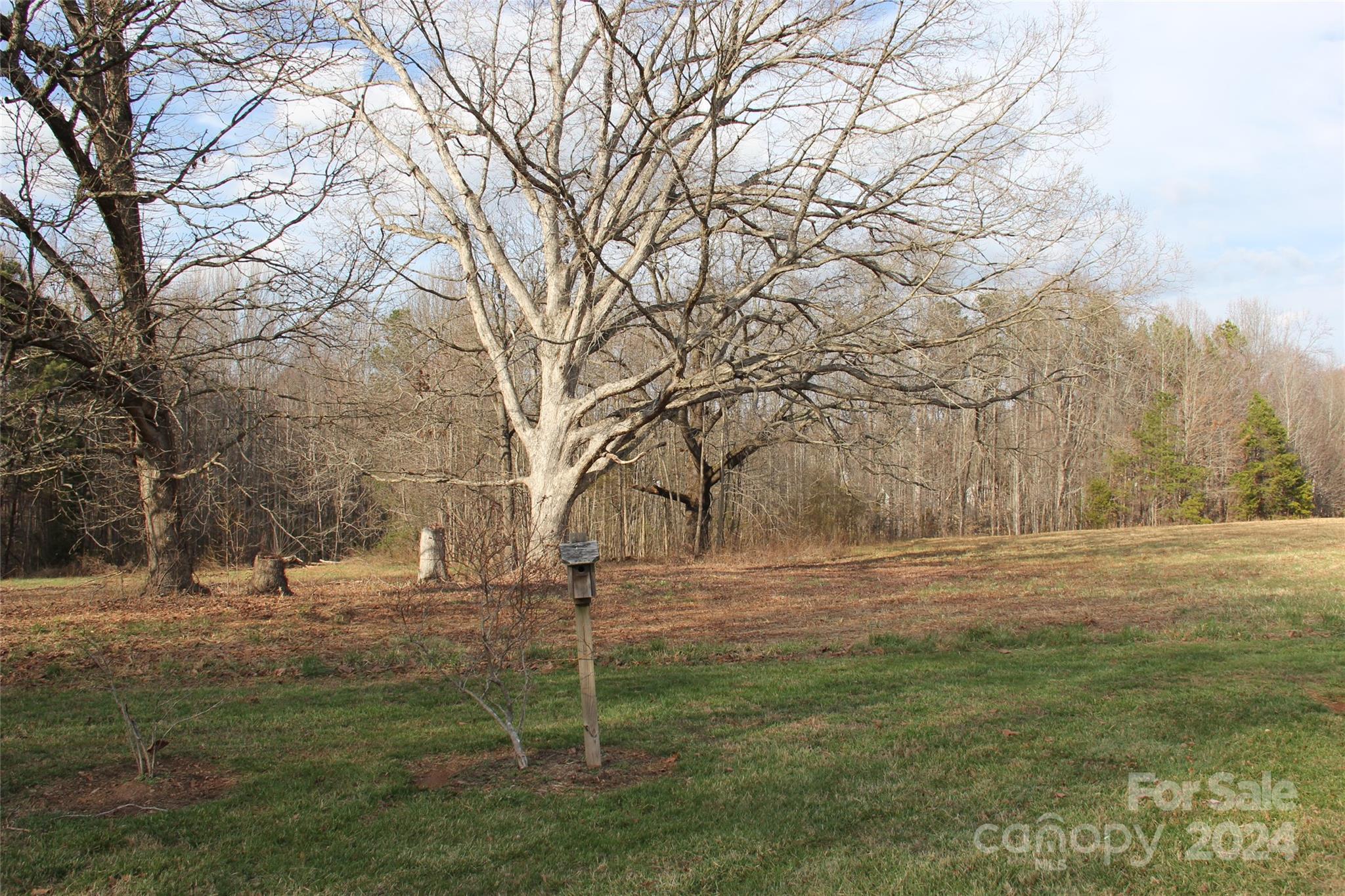 147 Sinclair Road Mooresville, NC 28115 - Photo 26 of 30 a view of outdoor space with trees