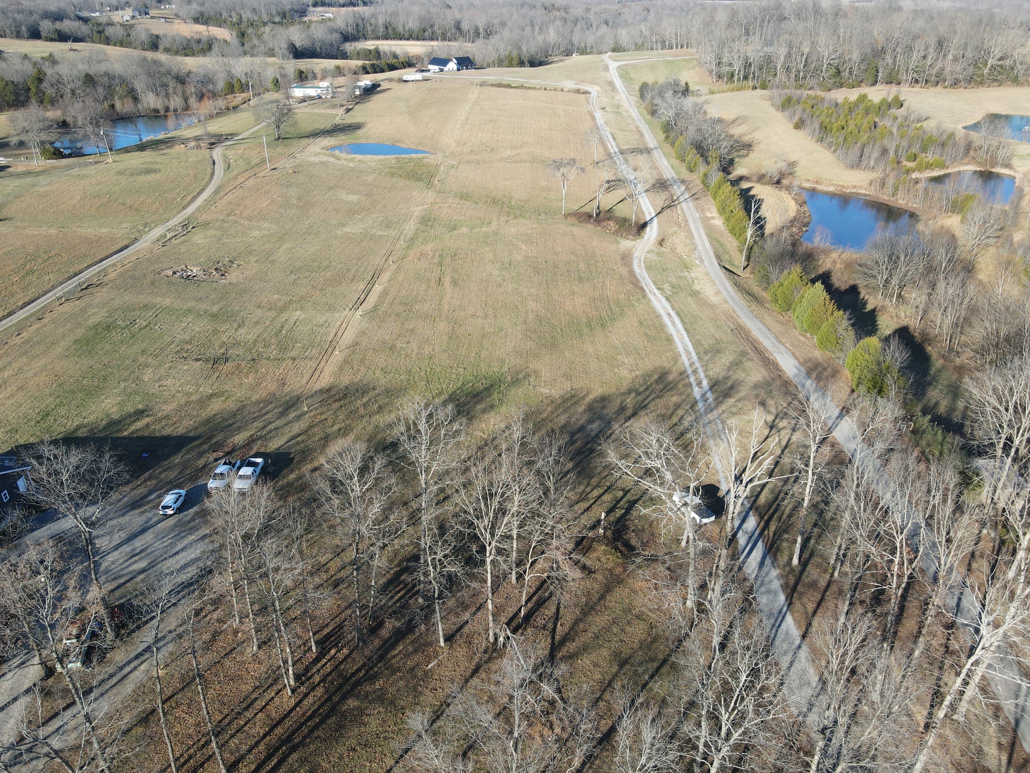 374 Buck Graves Road Westmoreland, TN 37186 - Photo 5 of 10 a view of outdoor space and a yard