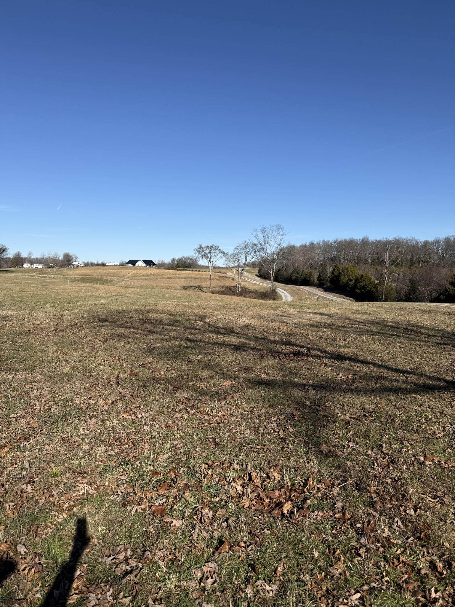 374 Buck Graves Road Westmoreland, TN 37186 - Photo 9 of 10 a view of an ocean beach