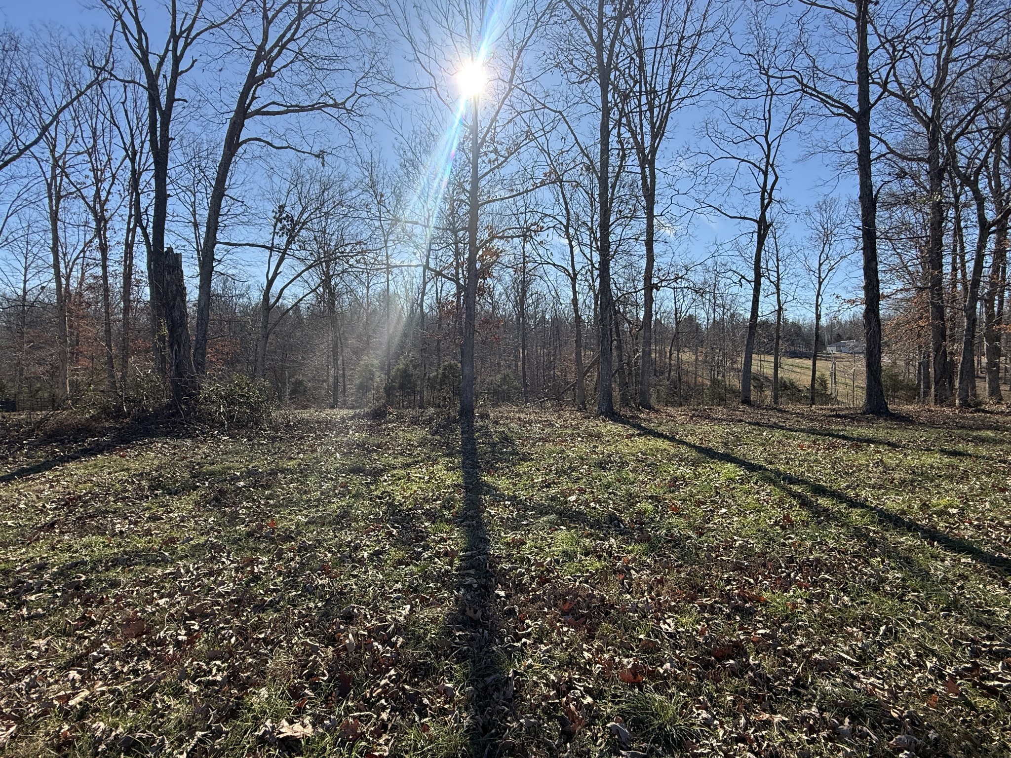 374 Buck Graves Road Westmoreland, TN 37186 - Photo 10 of 10 a view of backyard with green space