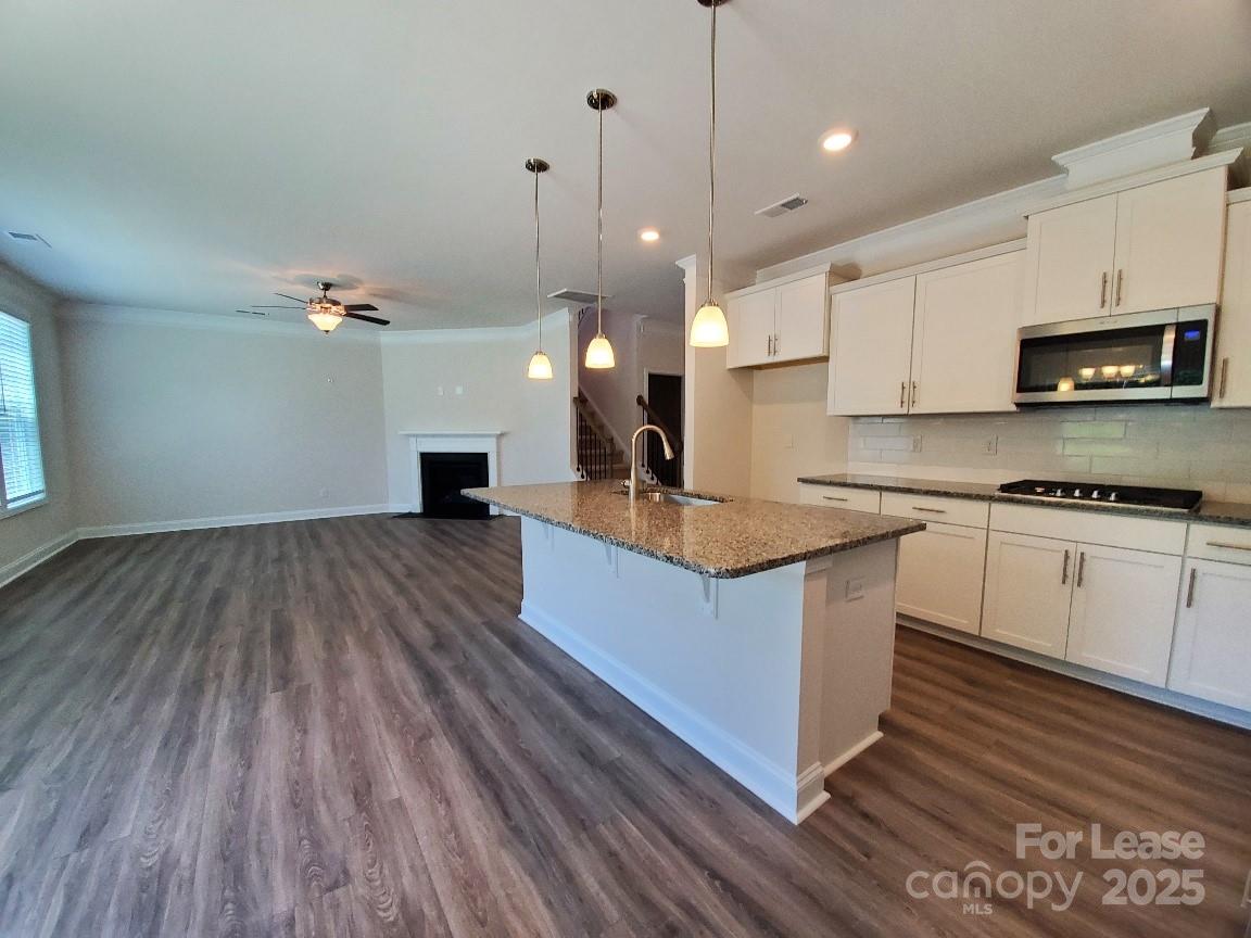 3013 Lydney Circle Waxhaw, NC 28173 - Photo 6 of 42