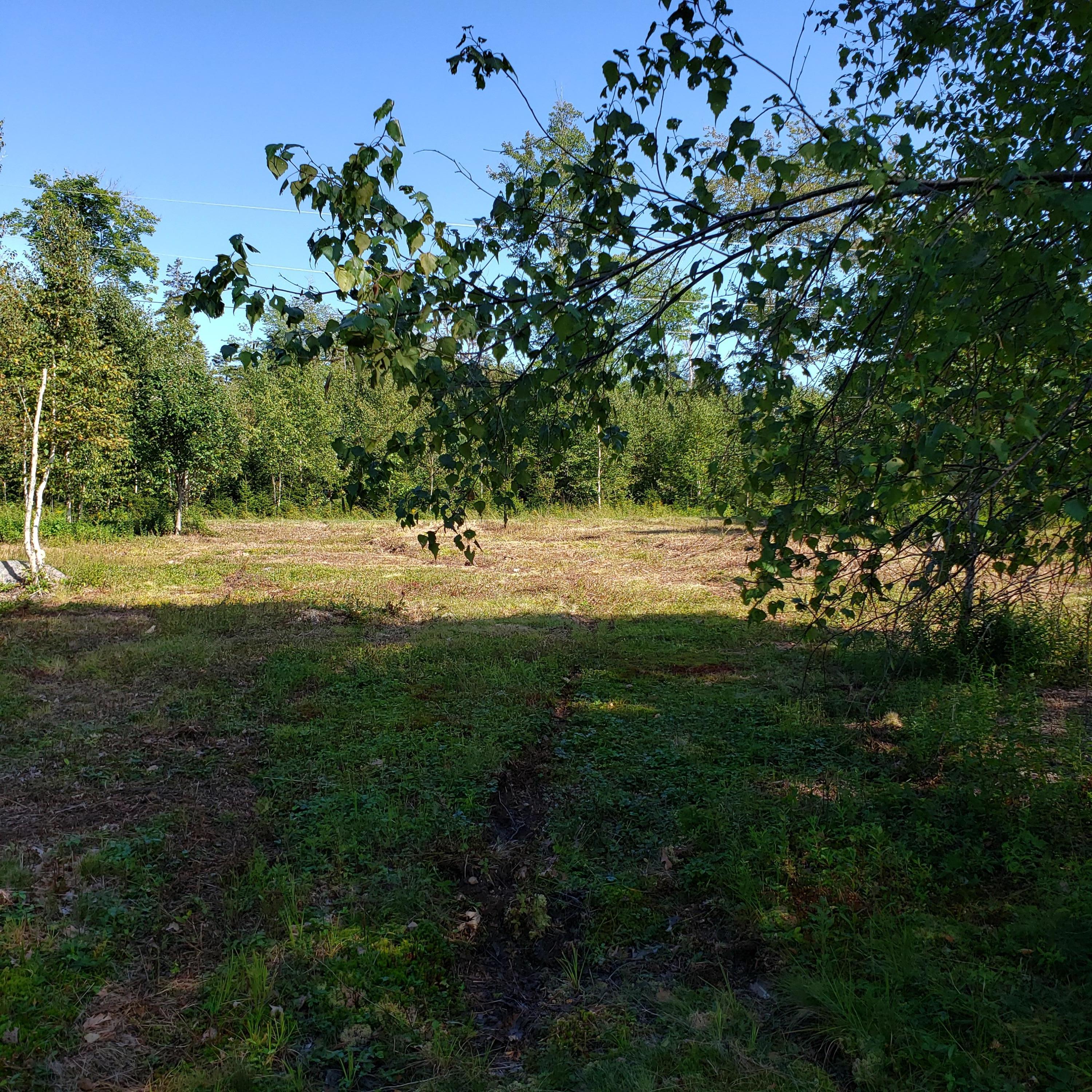 53 Cushing Farm Road New Harbor, ME 04554 - Photo 2 of 17 20190826_152807