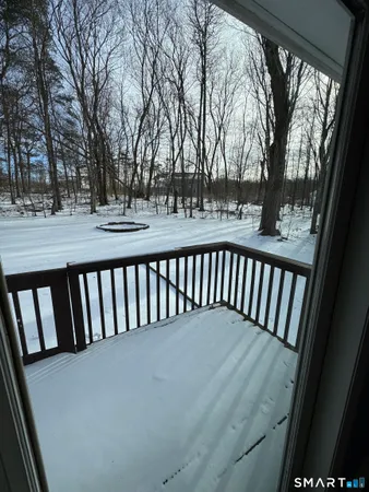 a view of backyard with trees
