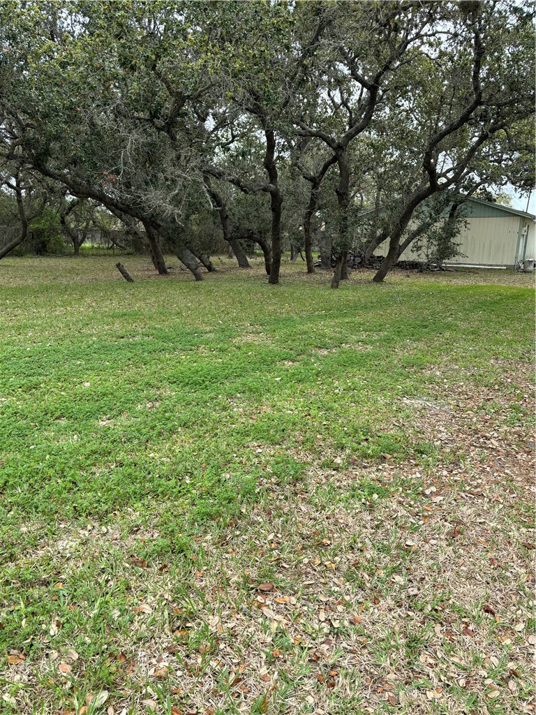a view of a green field with trees