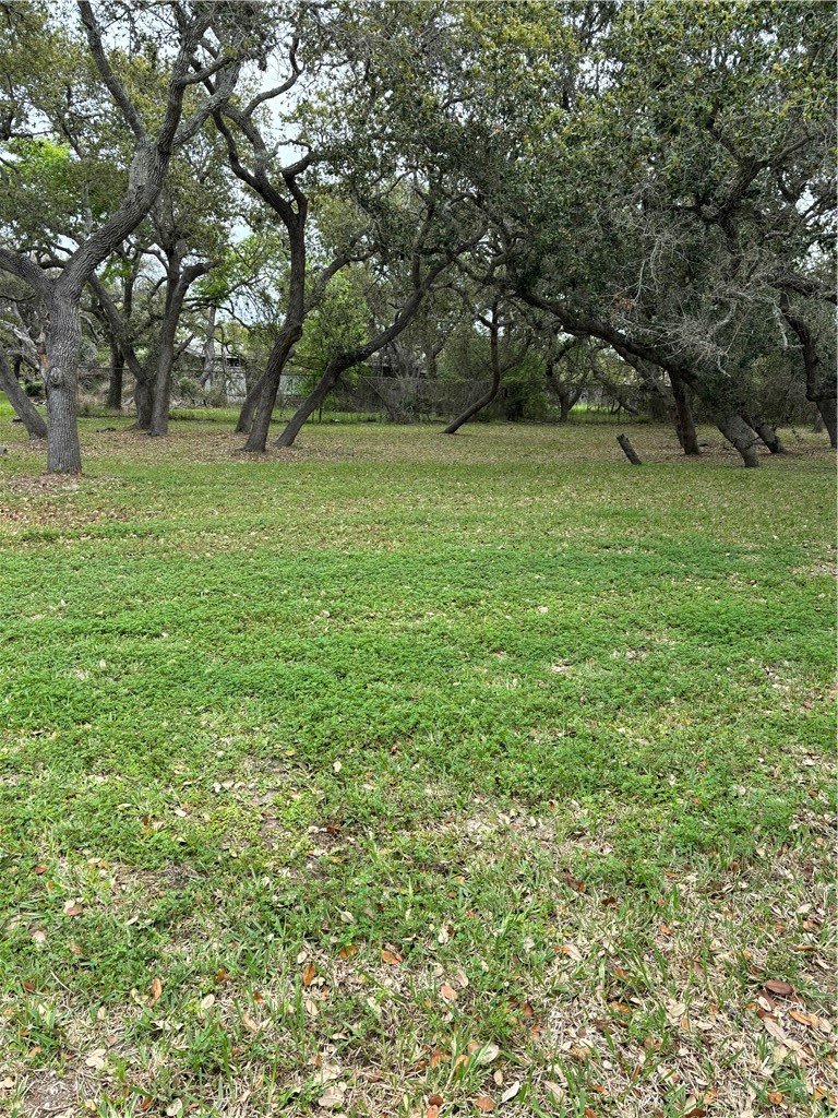 354 Sunset Ingleside, TX 78362 - Photo 2 of 4 a view of park view