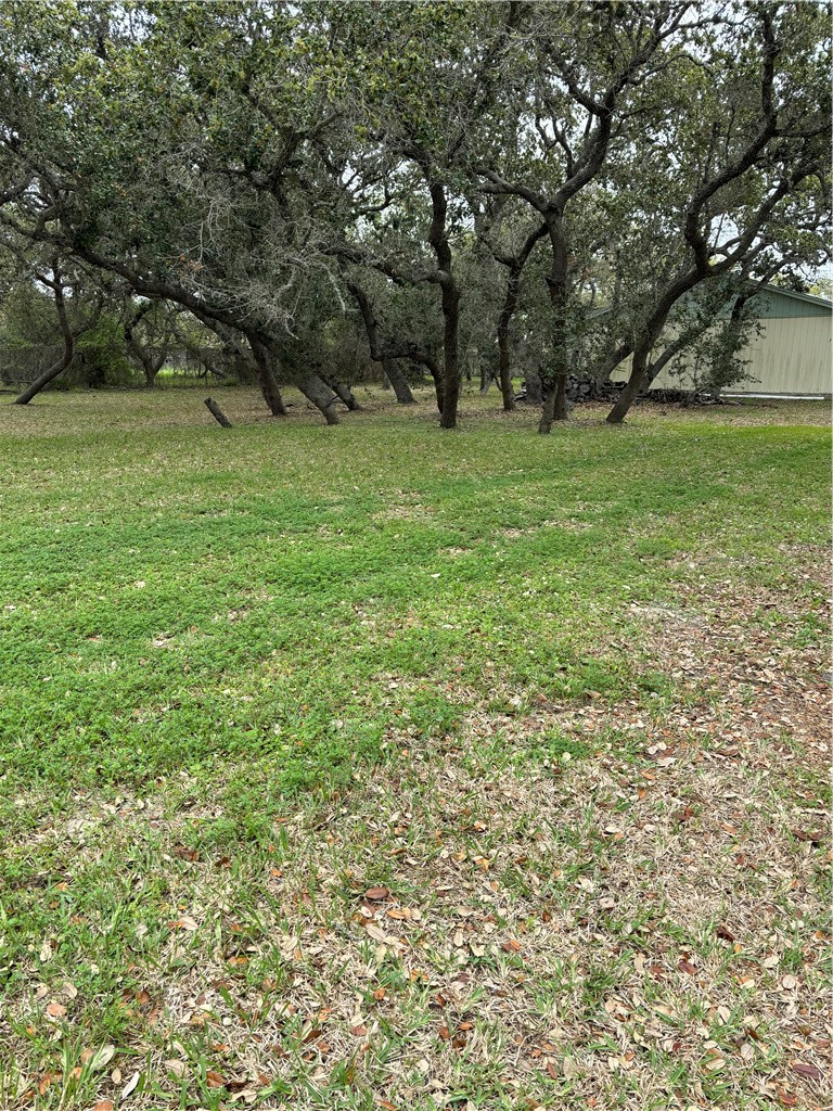 354 Sunset Ingleside, TX 78362 - Photo 3 of 4 a view of a green field with trees in the background