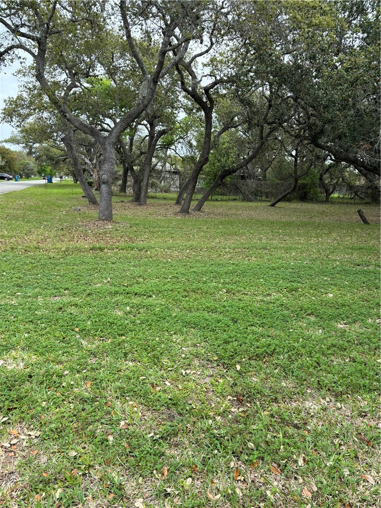 354 Sunset Ingleside, TX 78362 - Photo 4 of 4 a view of outdoor space with green field and trees