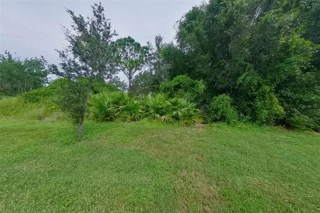 a view of a lush green space