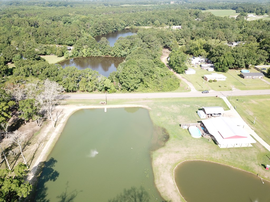 103 Slocomb Al Slocomb, AL 36375 - Photo 18 of 63