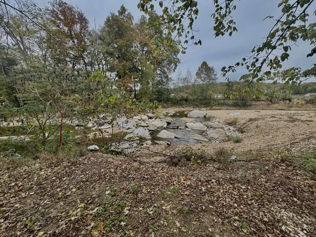 a view of a yard with trees