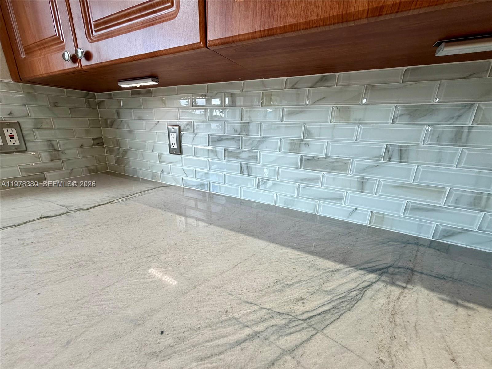 12391 Southwest 75th Street Miami, FL 33183 - Photo 32 of 89 Quartzite Counter tops