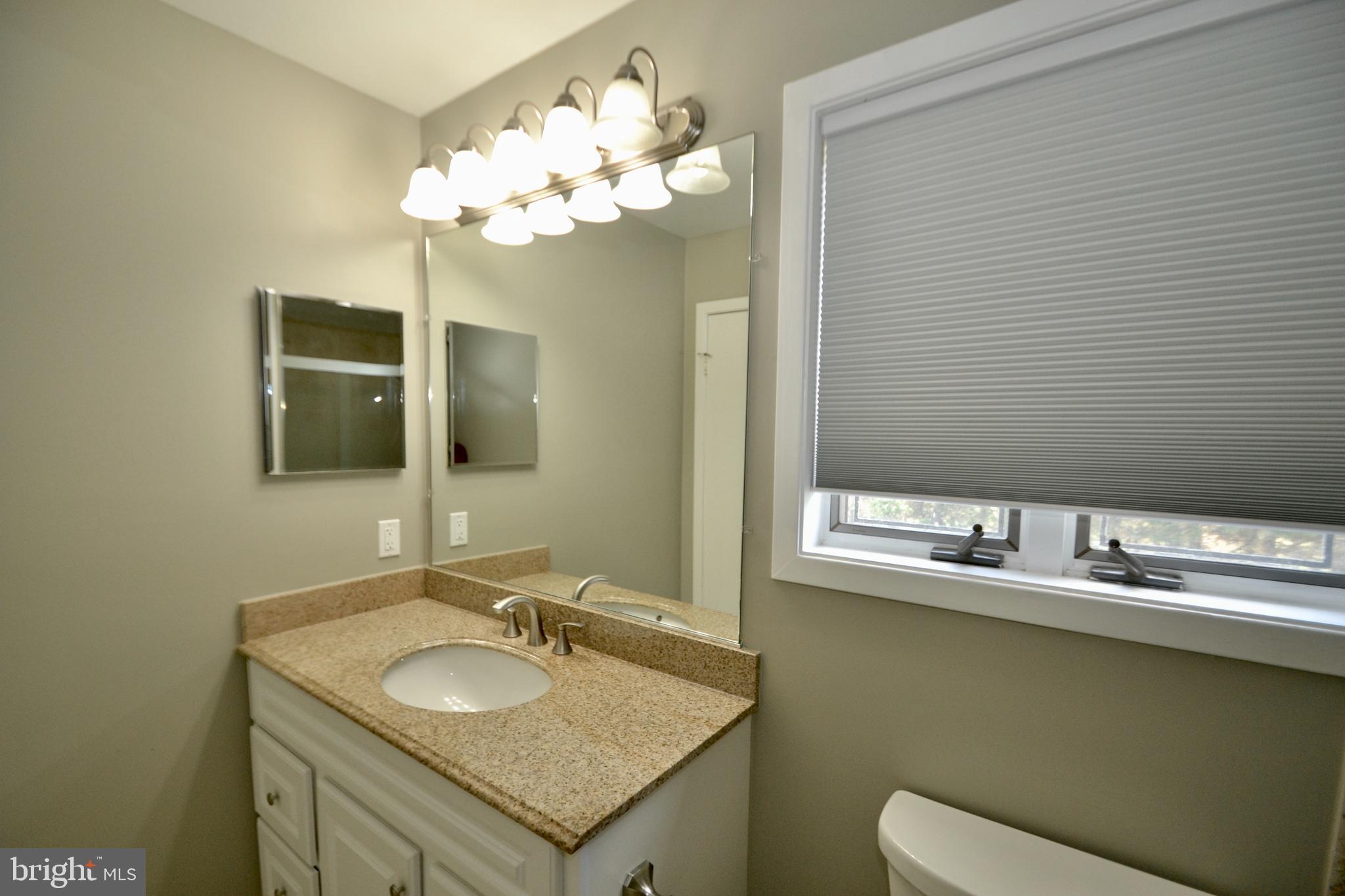 3750 Spring Lake Lane Owings Mills, MD 21117 - Photo 24 of 42 Updated Master Bathroom