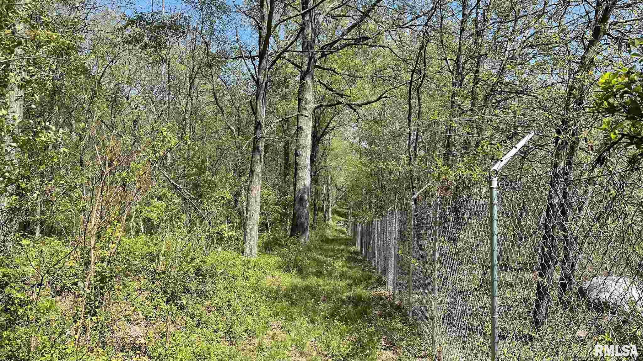 2902 Old 51 Road Sandoval, IL 62882 - Photo 40 of 49