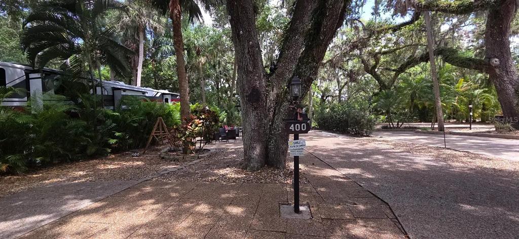 400 Longhorn Drive River Ranch, FL 33867 - Photo 7 of 10 a view of outdoor space with lots of trees