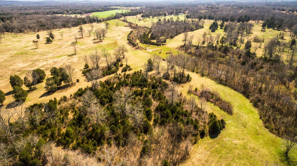 0 Long Distance Road Lewisburg, TN 37091 - Photo 15 of 25 Gallery Image 15