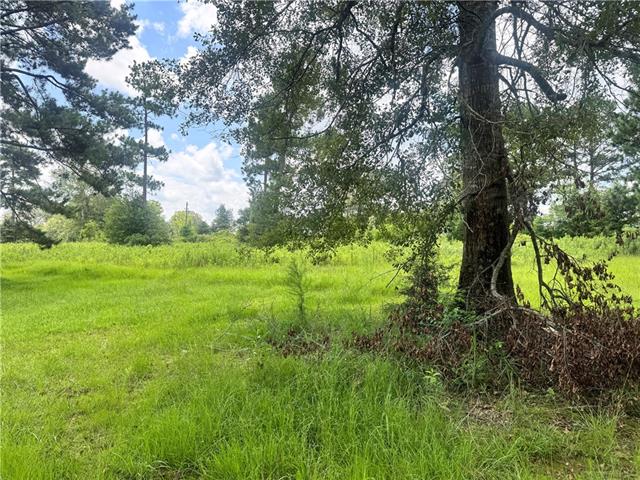 72045 South Lewiston Road Kentwood, LA 70444 - Photo 5 of 17