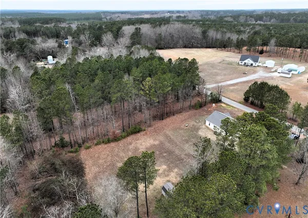 a view of backyard and tree