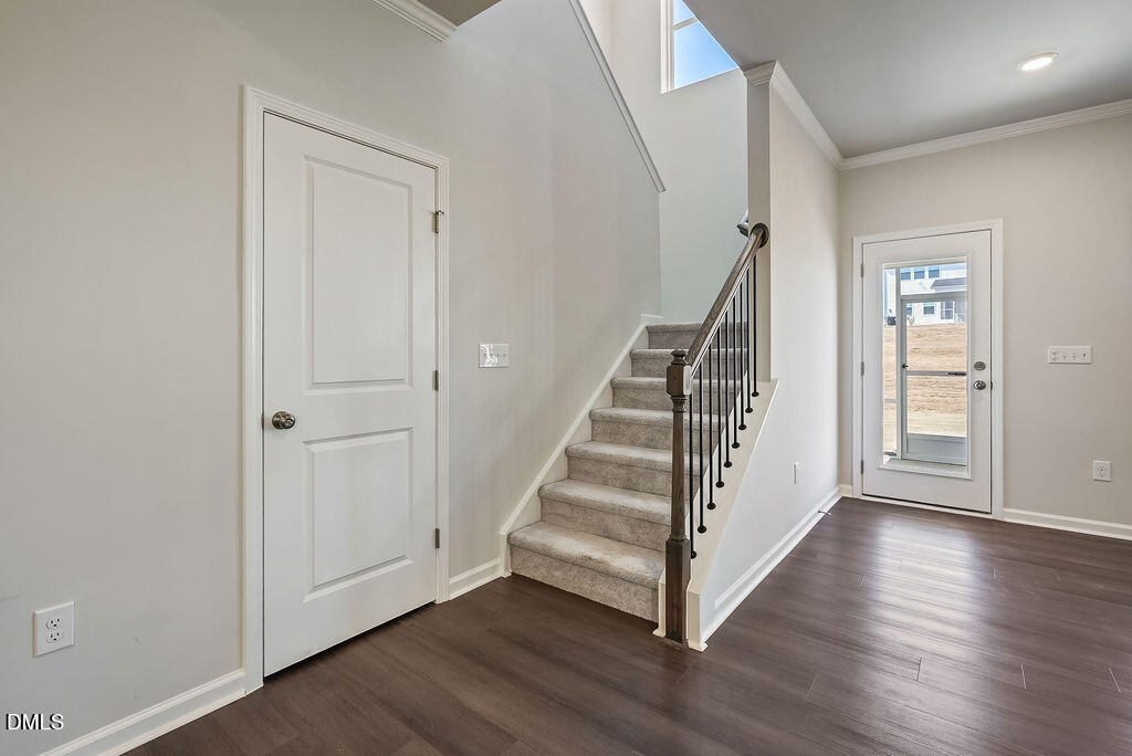 253 Eden View Bend Raleigh, NC 27610 - Photo 19 of 43 DSC03296