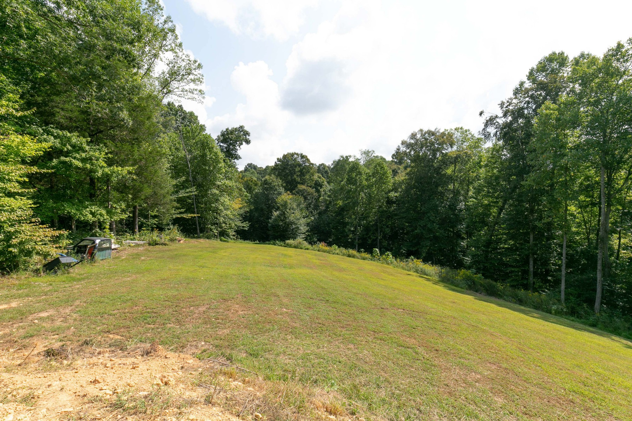 4920 Galen Road Lafayette, TN 37083 - Photo 45 of 47 a view of a yard with a trees