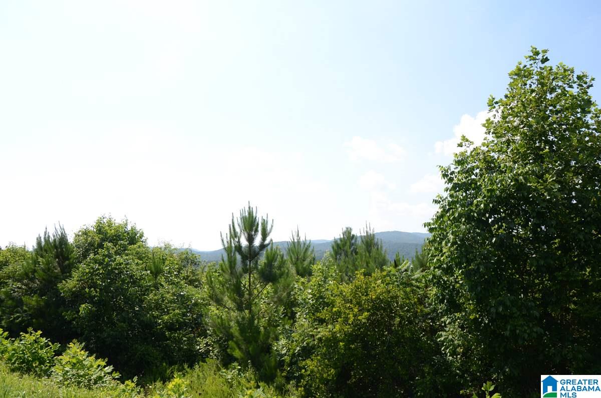 10098 County Road 55, Unit 24 ACRES Fruithurst, AL 36262 - Photo 15 of 27