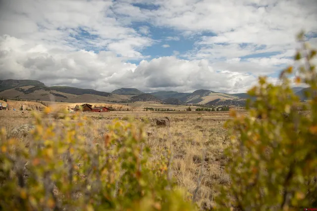 a view of a yard of the building