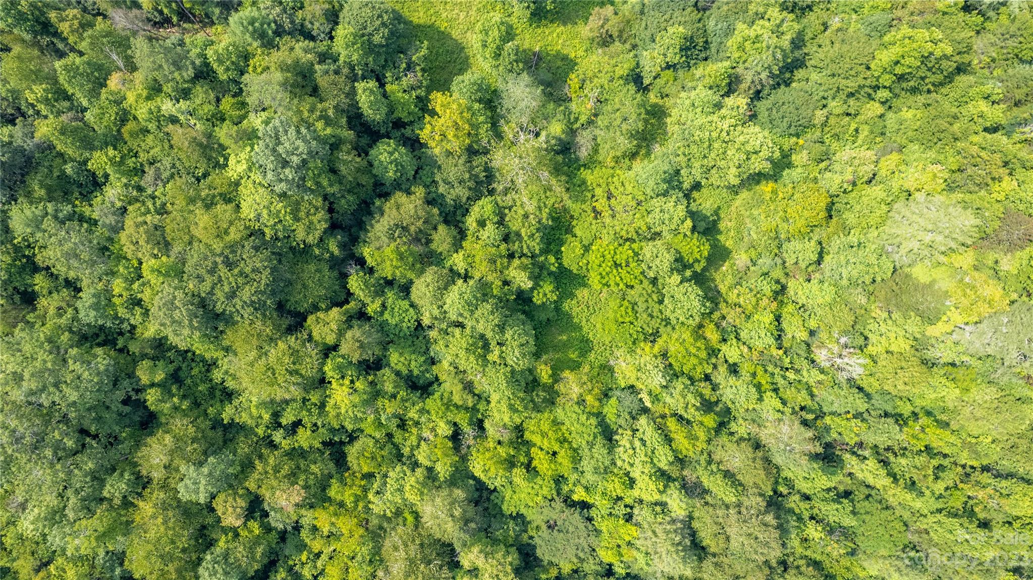 Tbd Tbd Collettsville Road, Unit 18 Lenoir, NC 28645 - Photo 4 of 19