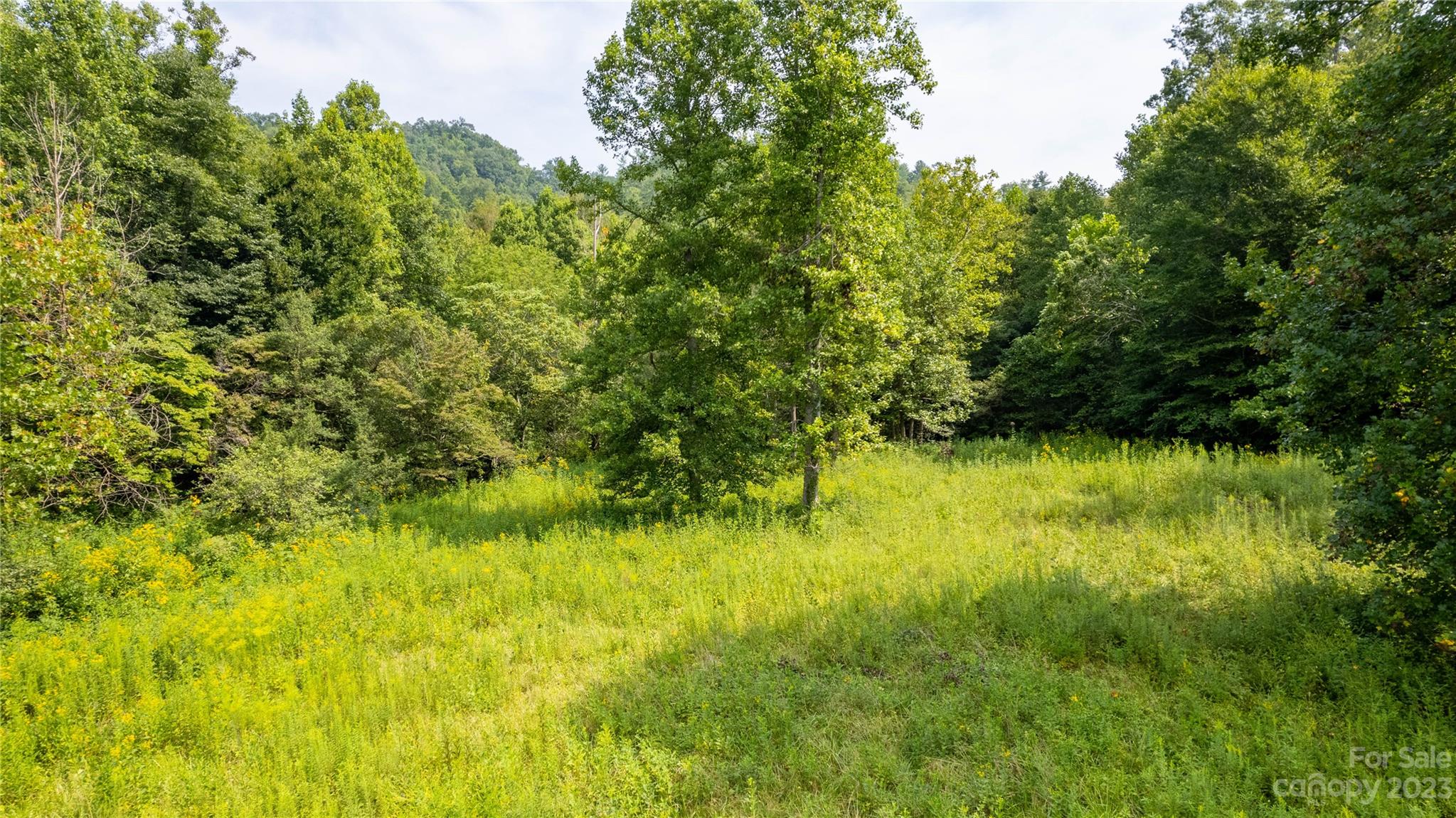 Tbd Tbd Collettsville Road, Unit 18 Lenoir, NC 28645 - Photo 8 of 19