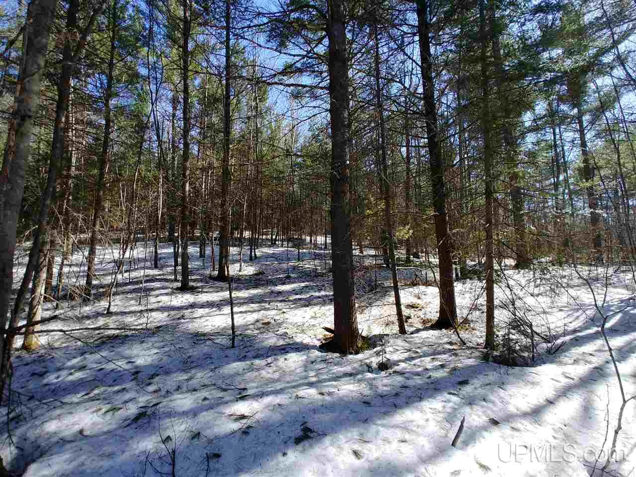 Tbd Tbd Millyard Road Little Lake, MI 49833 - Photo 7 of 8