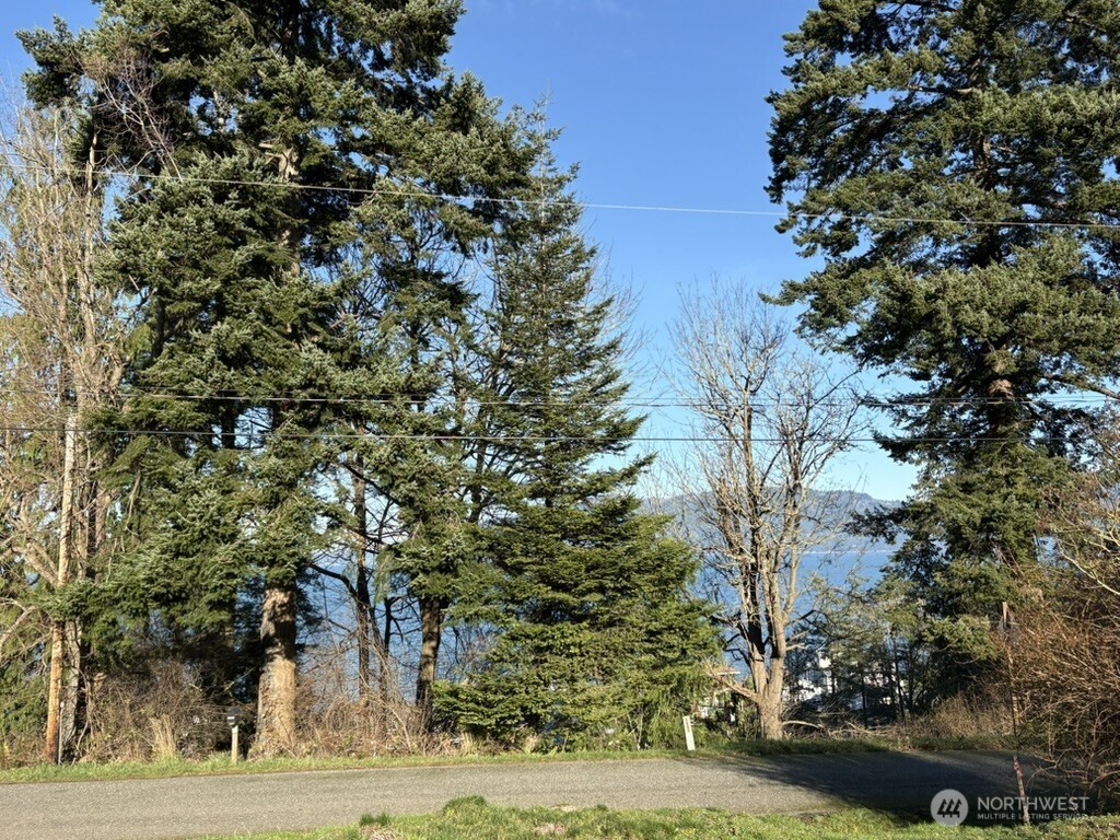 4904 Roney Road Bow, WA 98232 - Photo 12 of 13 an outdoor view of garden