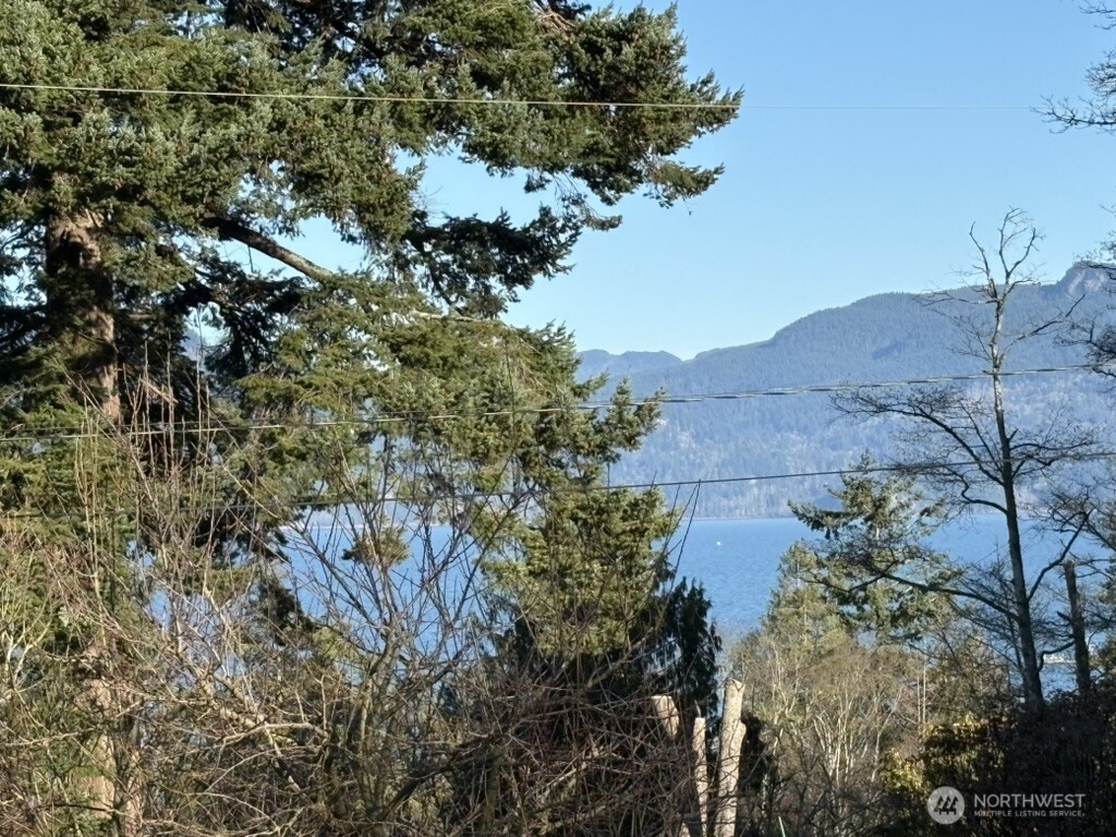 4904 Roney Road Bow, WA 98232 - Photo 13 of 13 a view of a bunch of trees and bushes