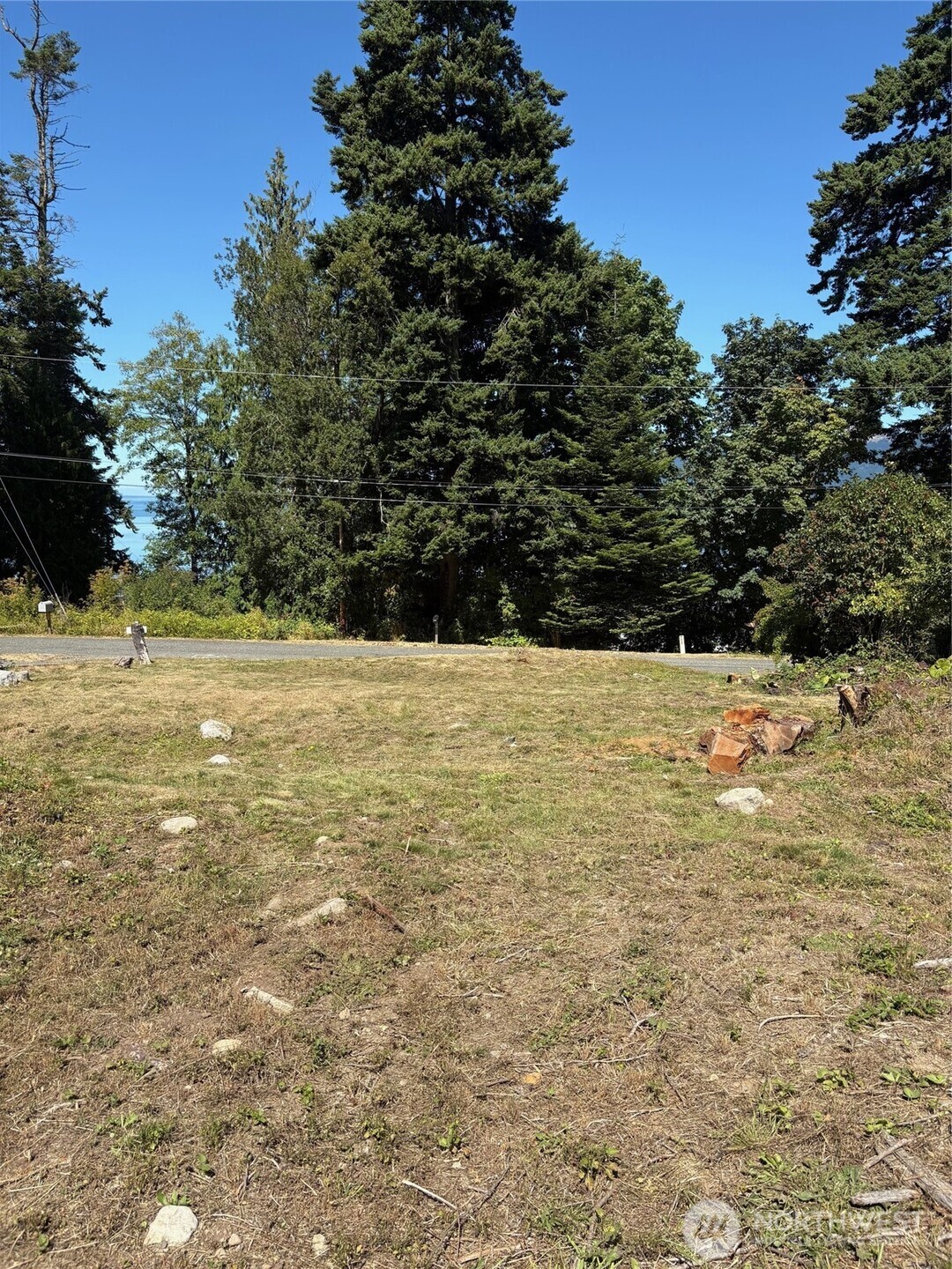 4904 Roney Road Bow, WA 98232 - Photo 2 of 6 a view of yard with trees