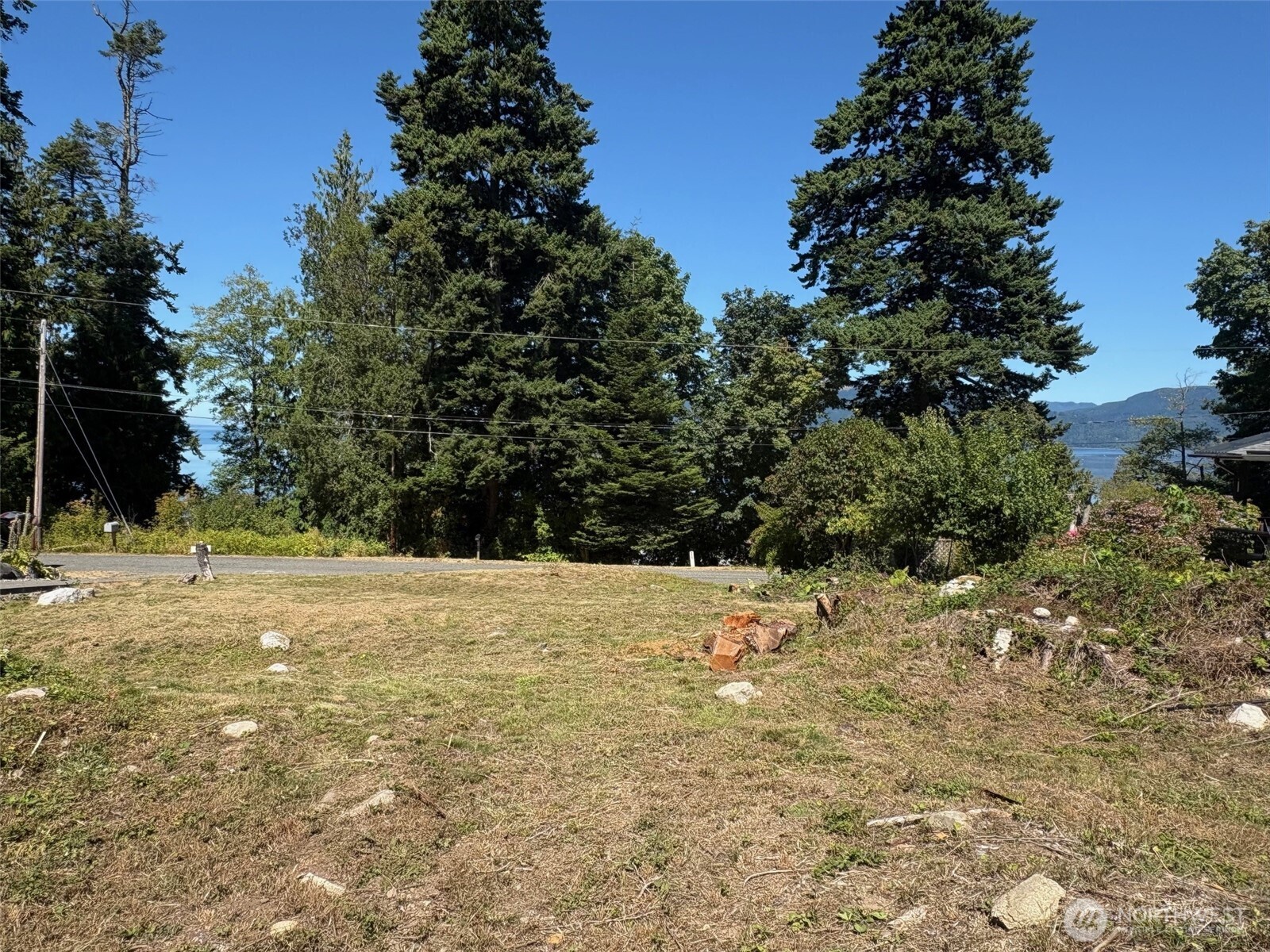 4904 Roney Road Bow, WA 98232 - Photo 3 of 6 a view of a yard with a tree