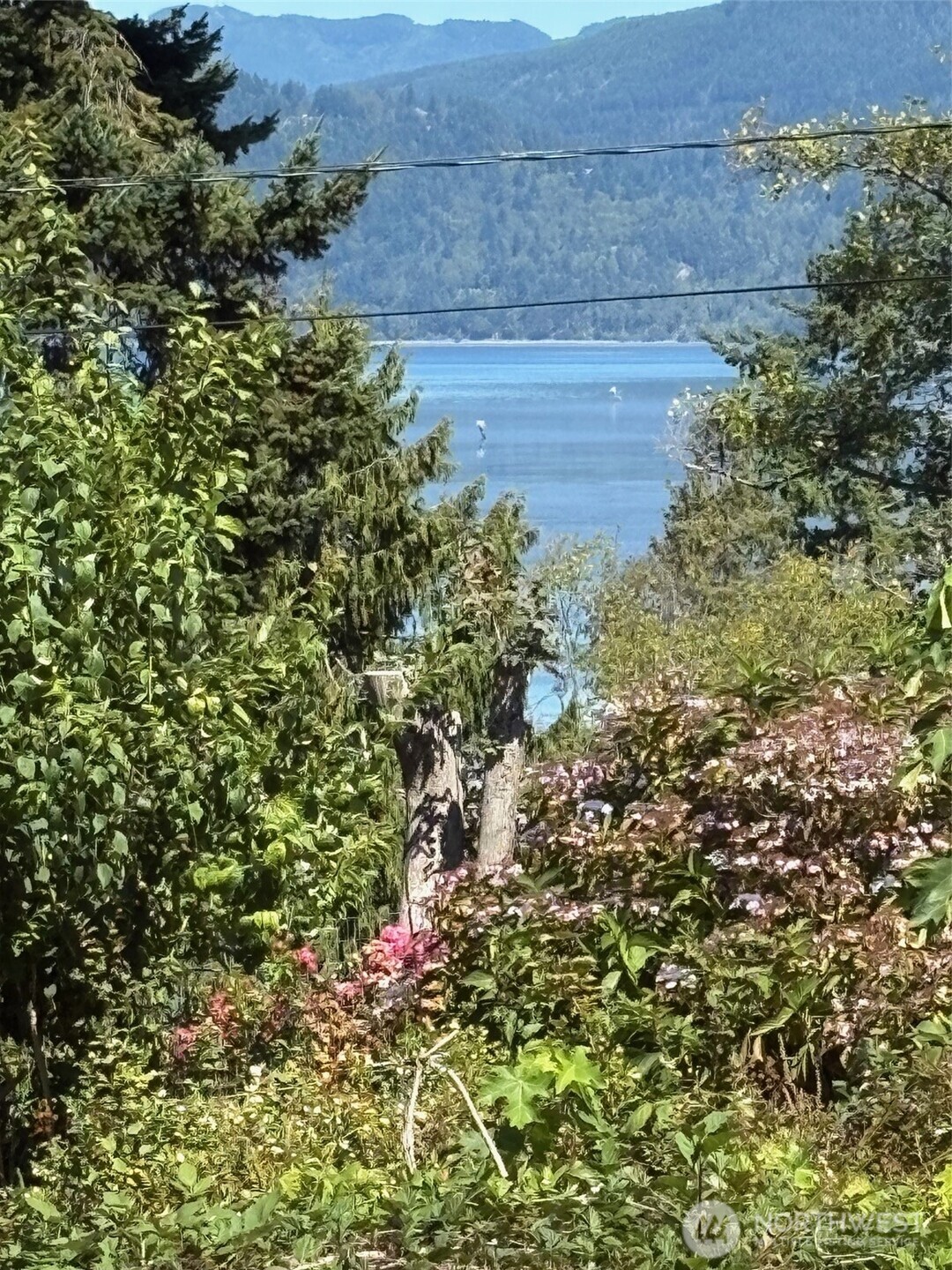 4904 Roney Road Bow, WA 98232 - Photo 5 of 6 an aerial view of house with yard and mountain view in back