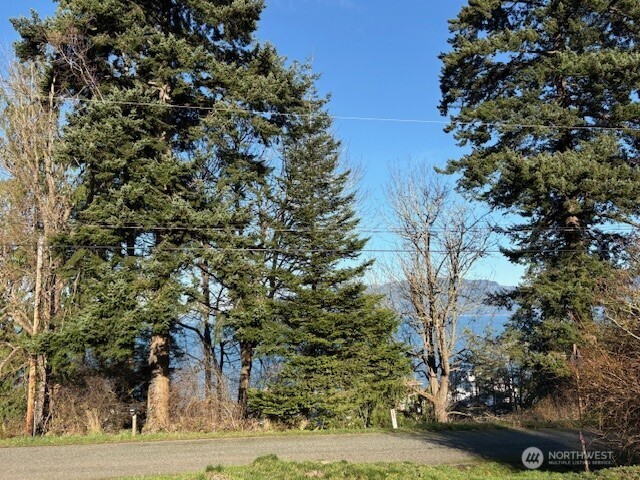 4904 Roney Road Bow, WA 98232 - Photo 5 of 13