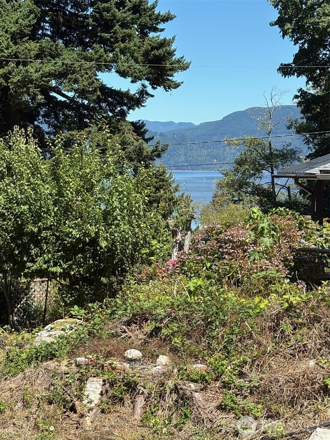4904 Roney Road Bow, WA 98232 - Photo 6 of 6 a view of a mountain in the distance in a field