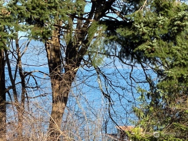4904 Roney Road Bow, WA 98232 - Photo 6 of 16 a picture of tree