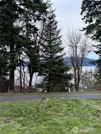 a view of backyard with green space