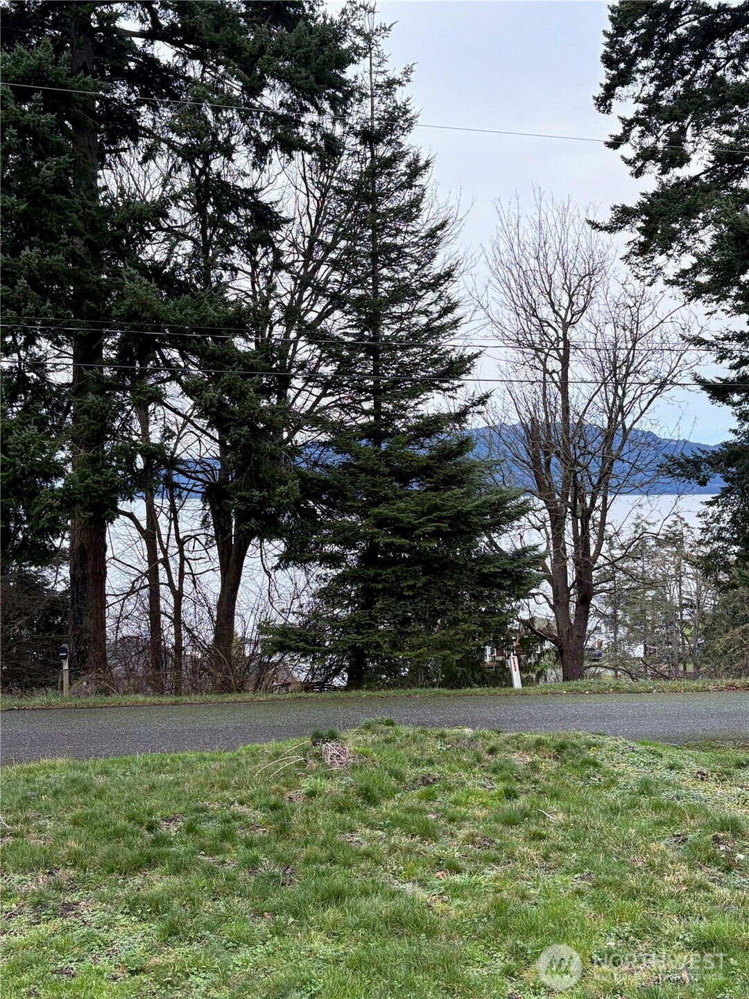 4904 Roney Road Bow, WA 98232 - Photo 7 of 13 a view of backyard space