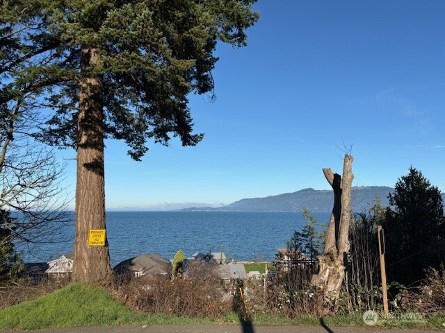 4904 Roney Road Bow, WA 98232 - Photo 8 of 13 a view of a yard with an outdoor space