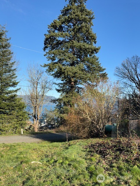 4904 Roney Road Bow, WA 98232 - Photo 9 of 13 a view of backyard with green space