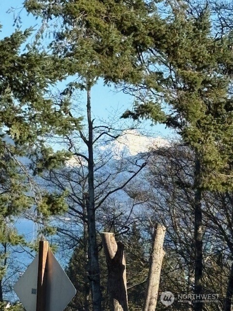 4904 Roney Road Bow, WA 98232 - Photo 10 of 13